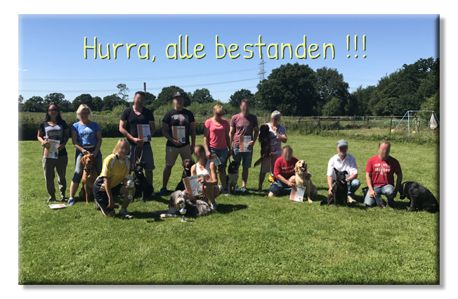 Das wirst du auch schaffen ! bestandene Hundeführerscheinprüfung