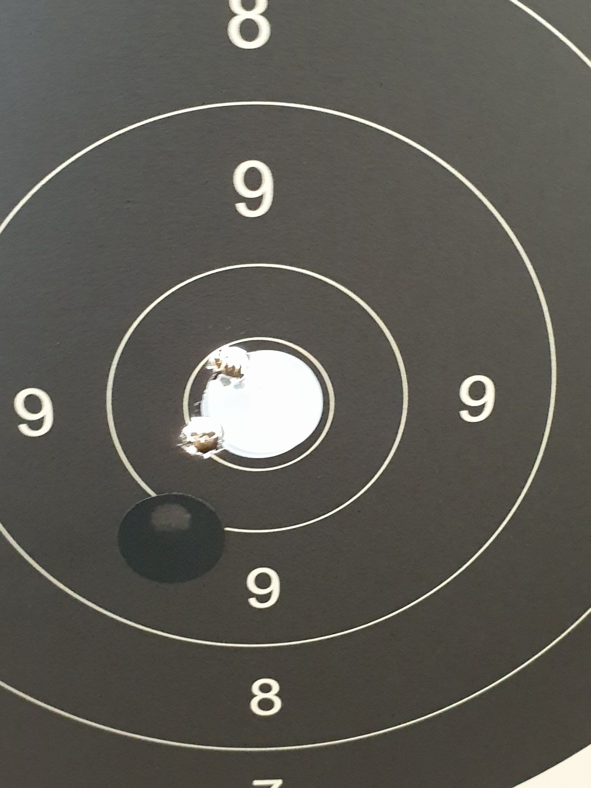 Bleifreie Munition REACH