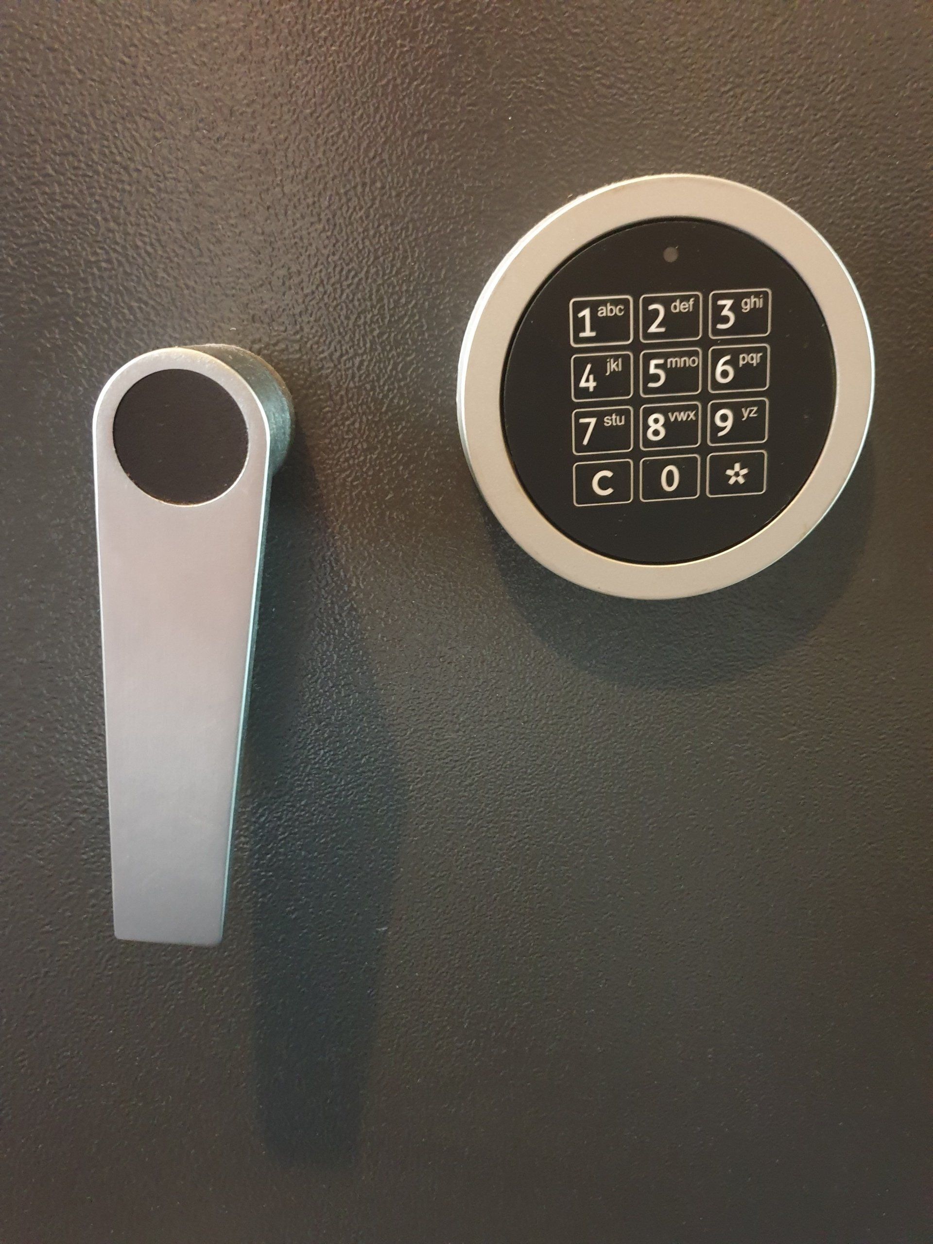 Grüne Verbot Waffen Privathaushalt Schusswaffen