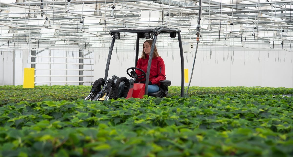 Norcar a60E1 Miniloader