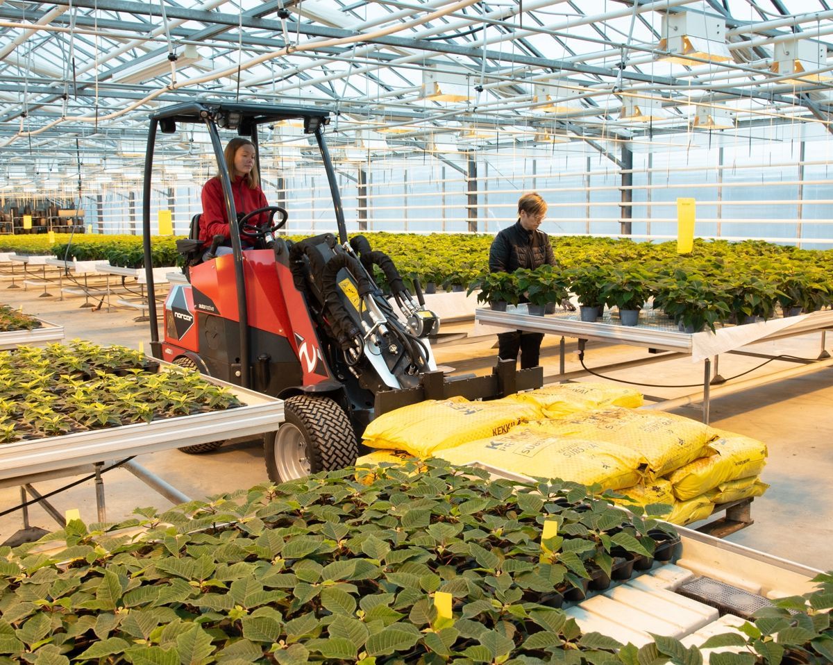 Norcar a60E1 Miniloader