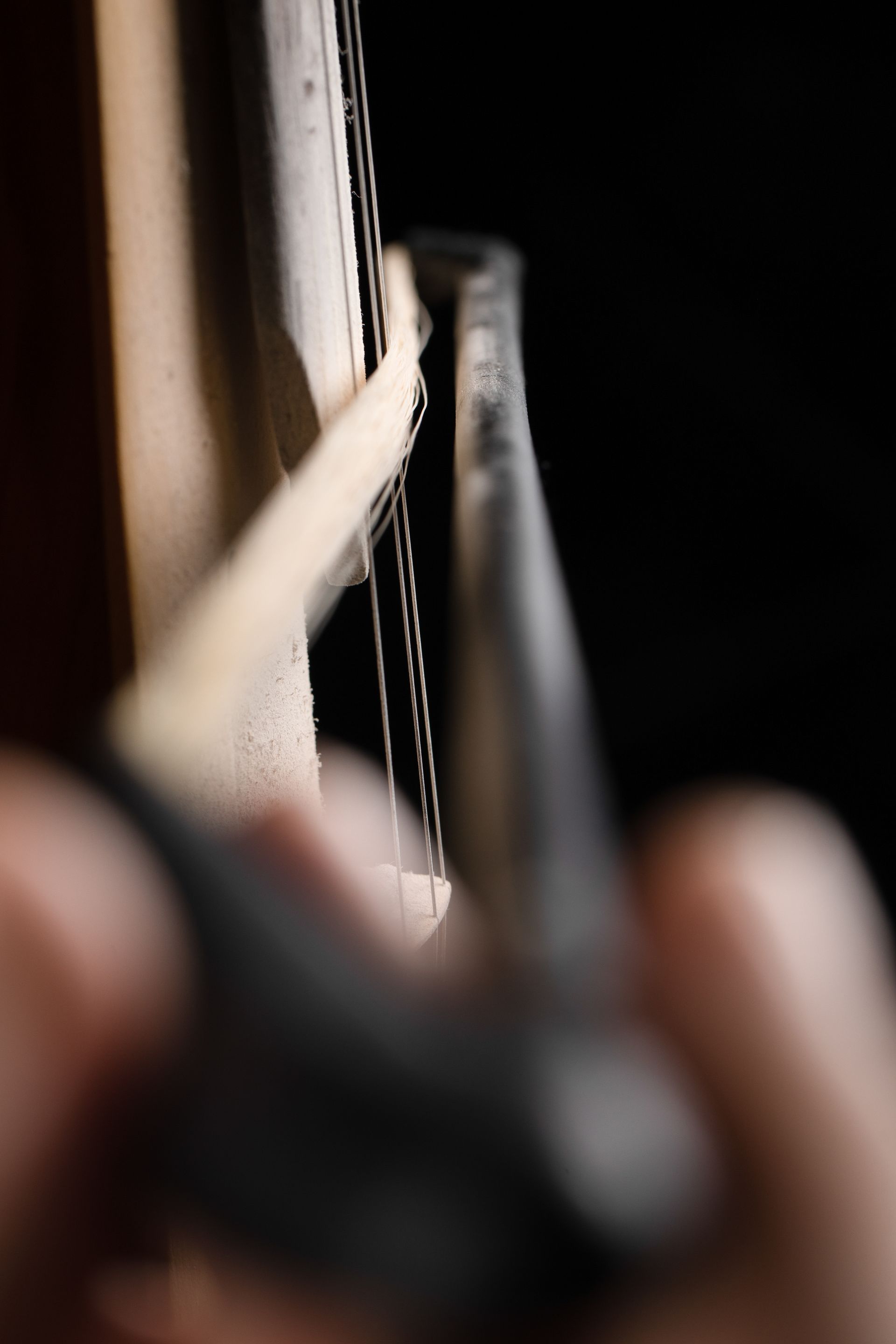 Musiker mit Instrument – Kreative Businessfotografie, die Ihre Musik und Leidenschaft für das Handwerk visuell unterstreicht.
