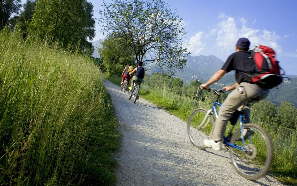 Südschwarzwald Radweg am Rhein