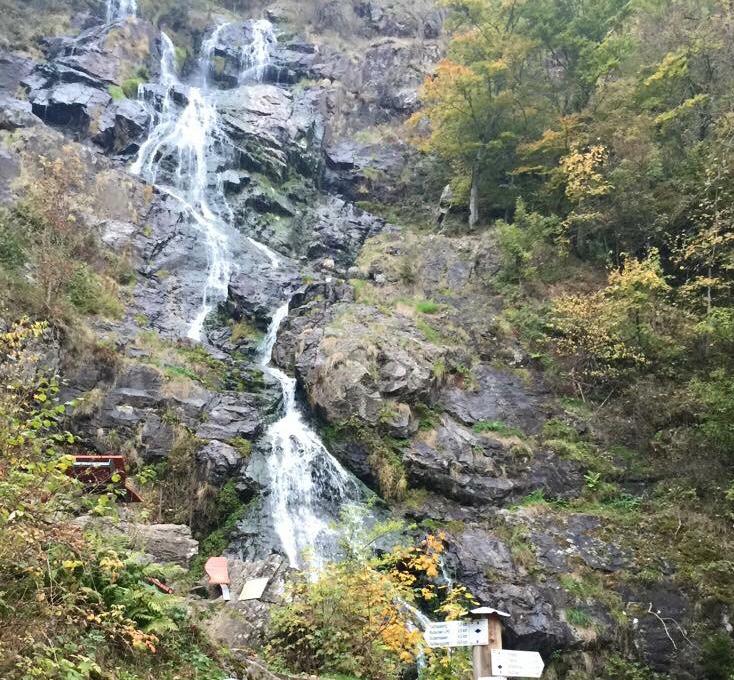 Todtnauer Wasserfälle Wasserfall Todtnau