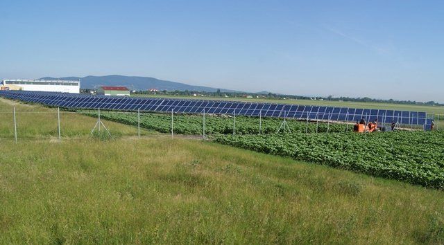 Photovoltaik Mayerhofer Elektro Installationen Bürgerbeteiligung Freifläche