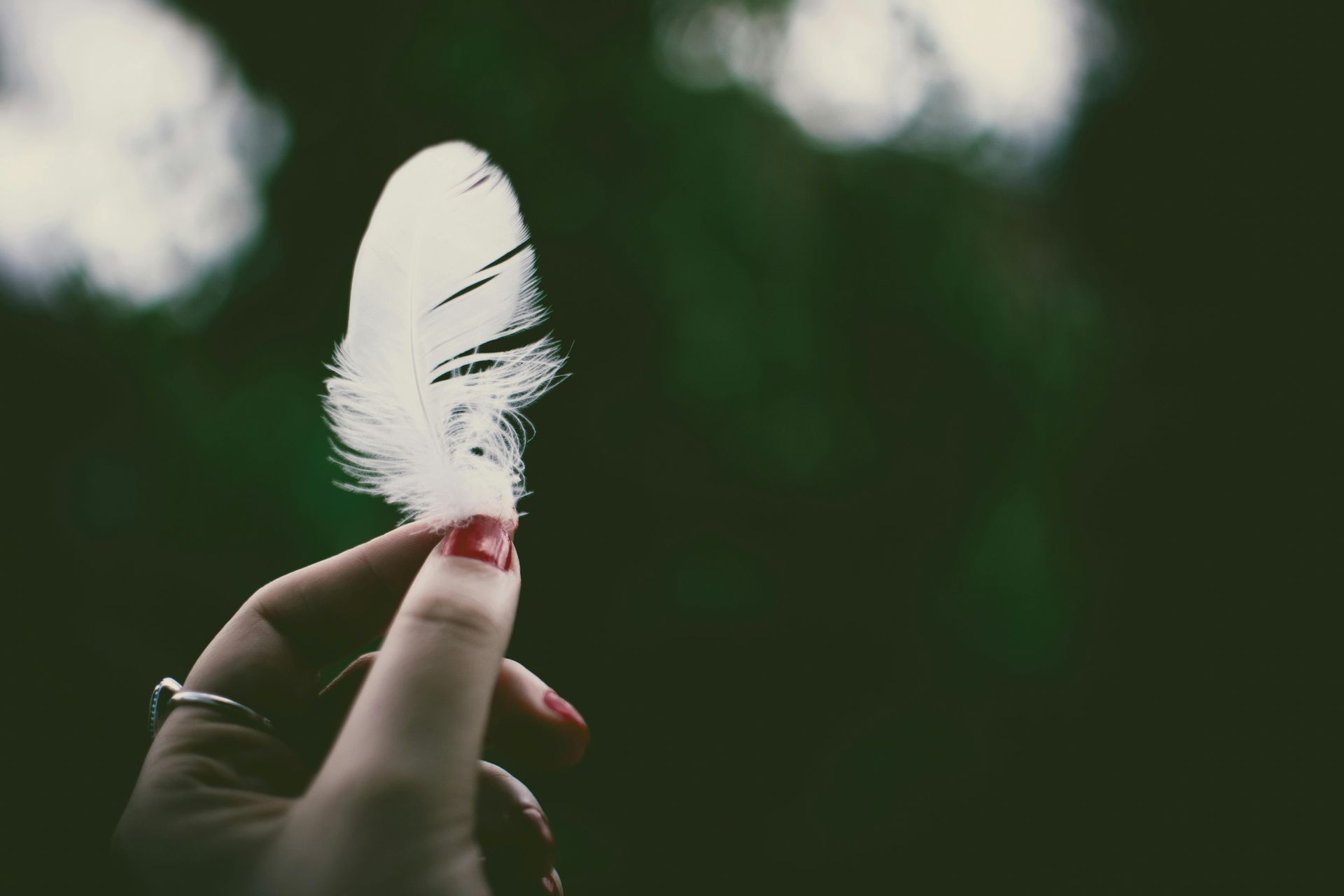 white feather