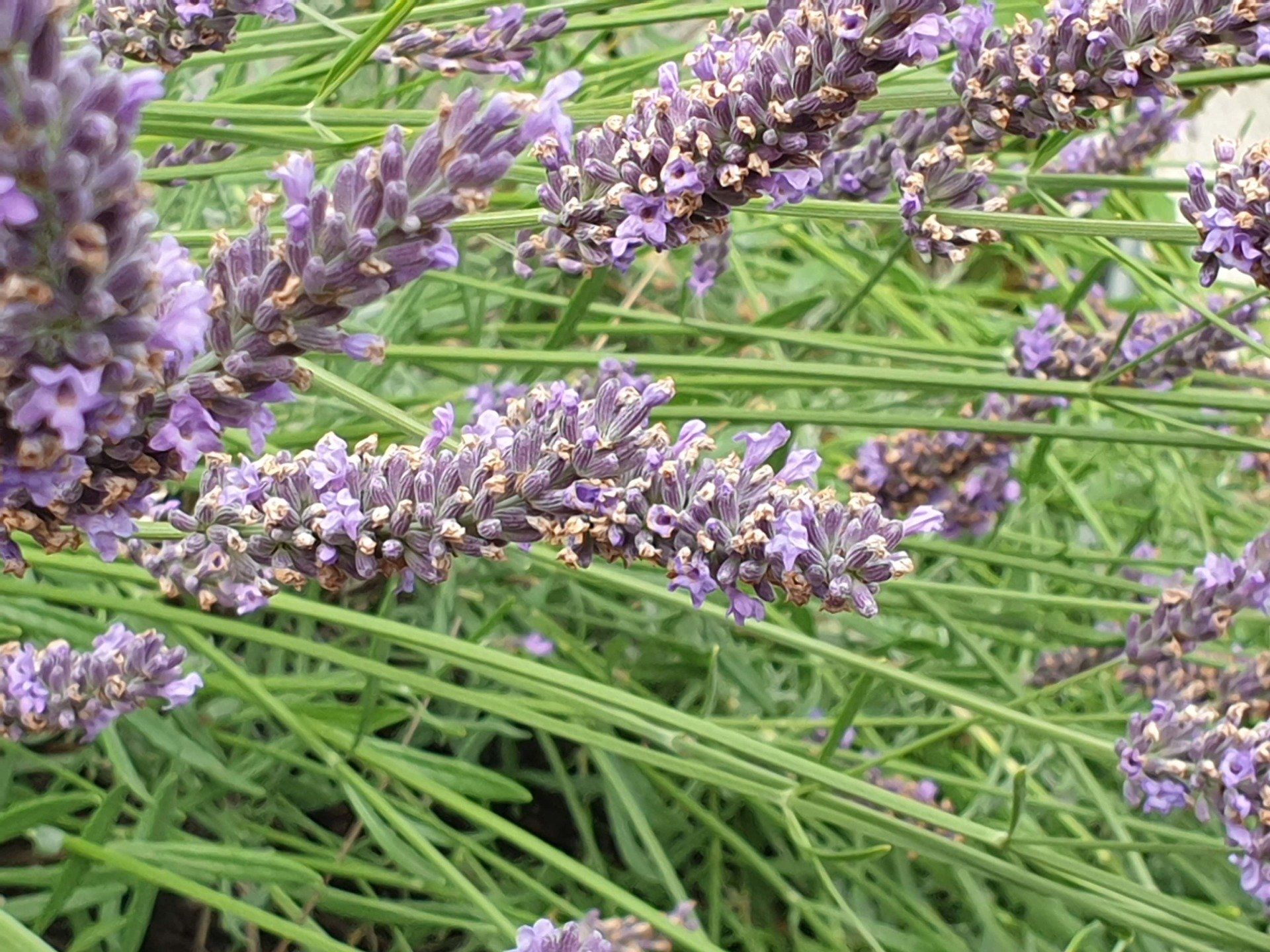 Energetische Sanierung