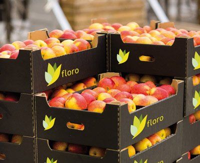 Bild zeigt einen wissenschaftlichen Tagungsband