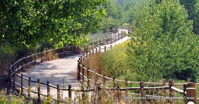 Camino de Santiago en La Rioja