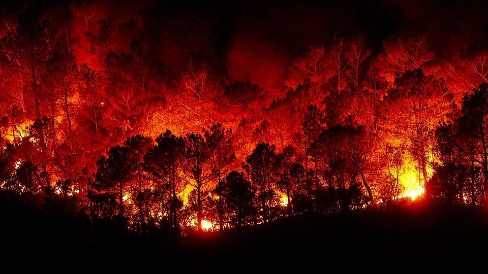 Incendios forestales
