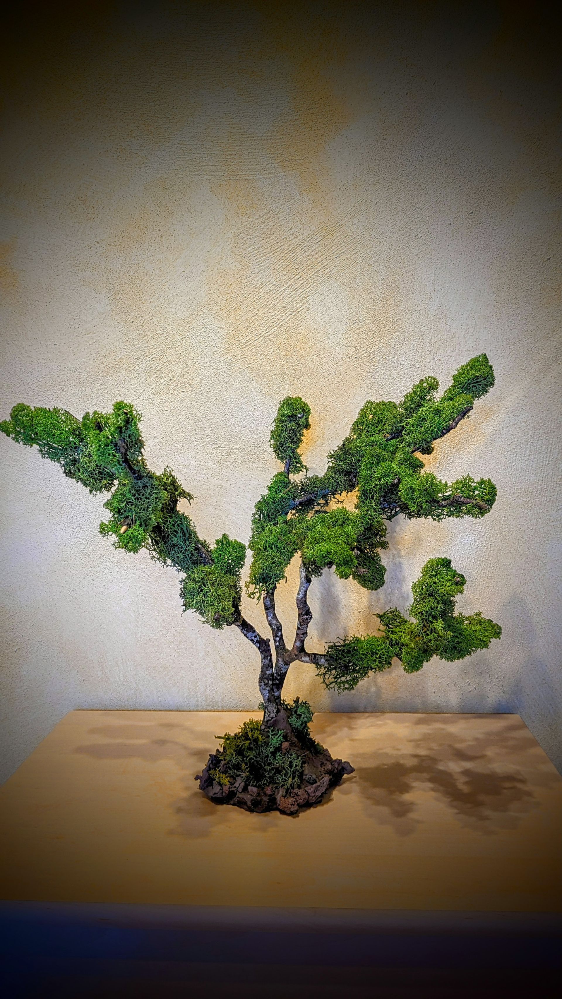 Kunst Bonsai Künstlicher Bonsai Baum