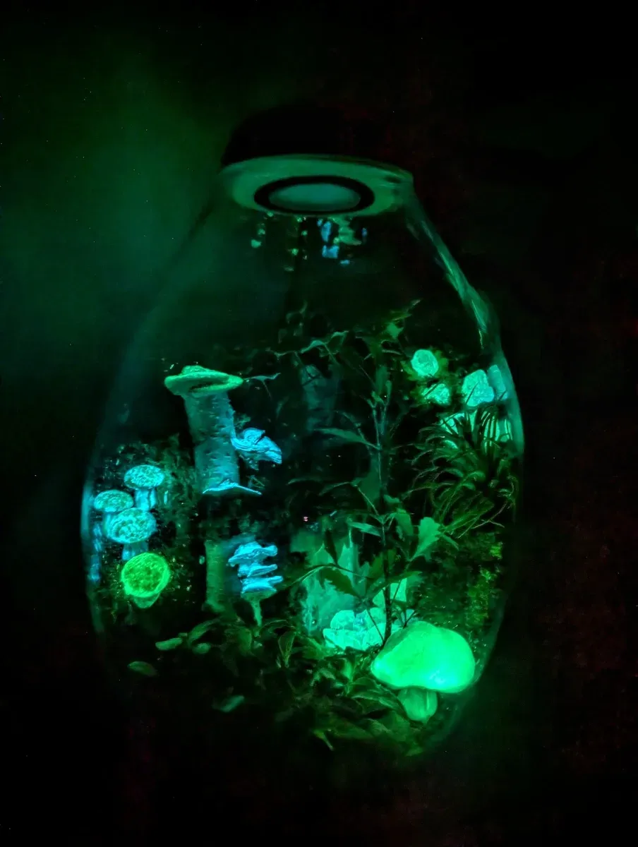 Flaschengarten XXL mit Beleuchtung und Nachtleuchtenden Pflanzen