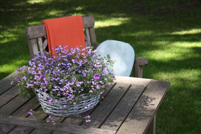 Stuhl mit Deck und Tisch mit Blumenkorb