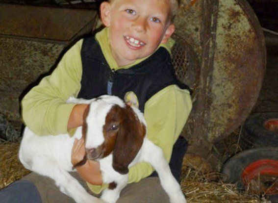 Junge mit Ziegenbaby auf dem Arm