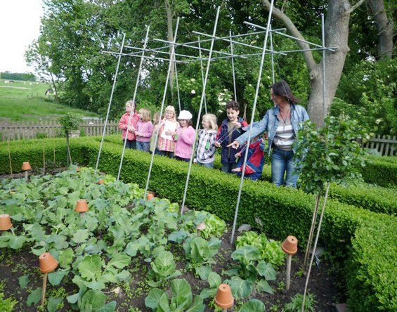 Kinder besichtigen den Bauerngarten