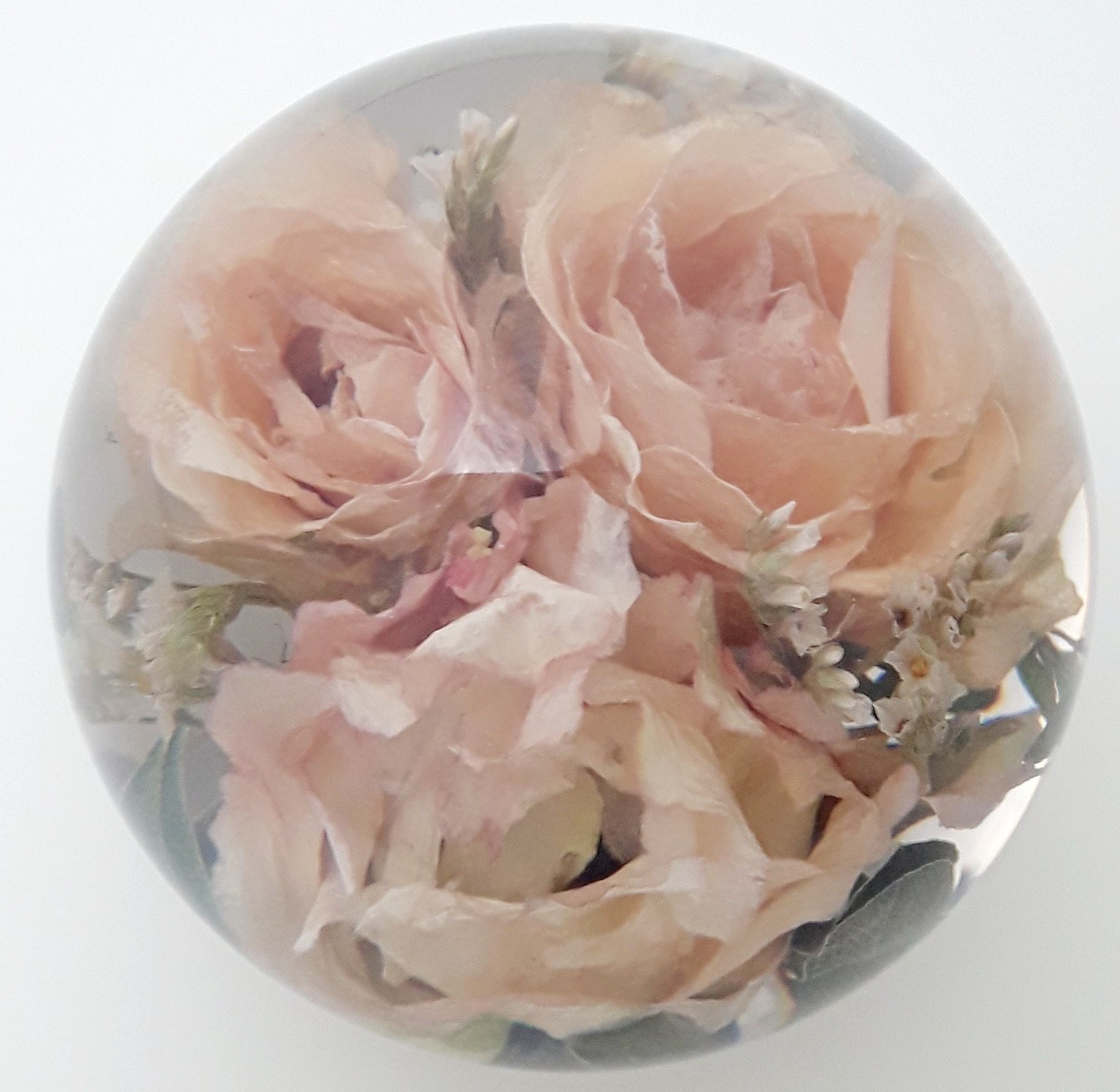 Preserved pink roses in a paperweight