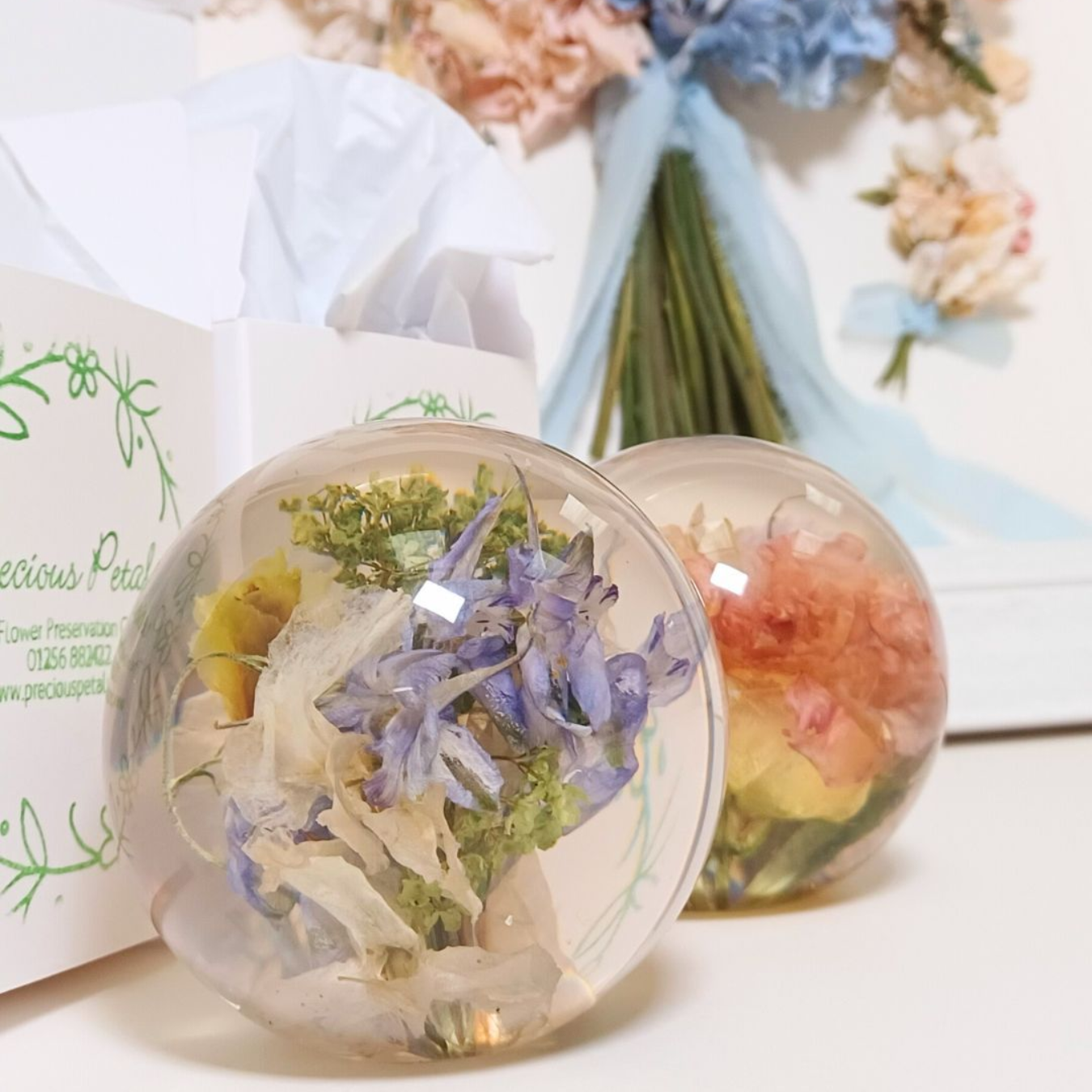 Rose bloom preserved in round paperweight