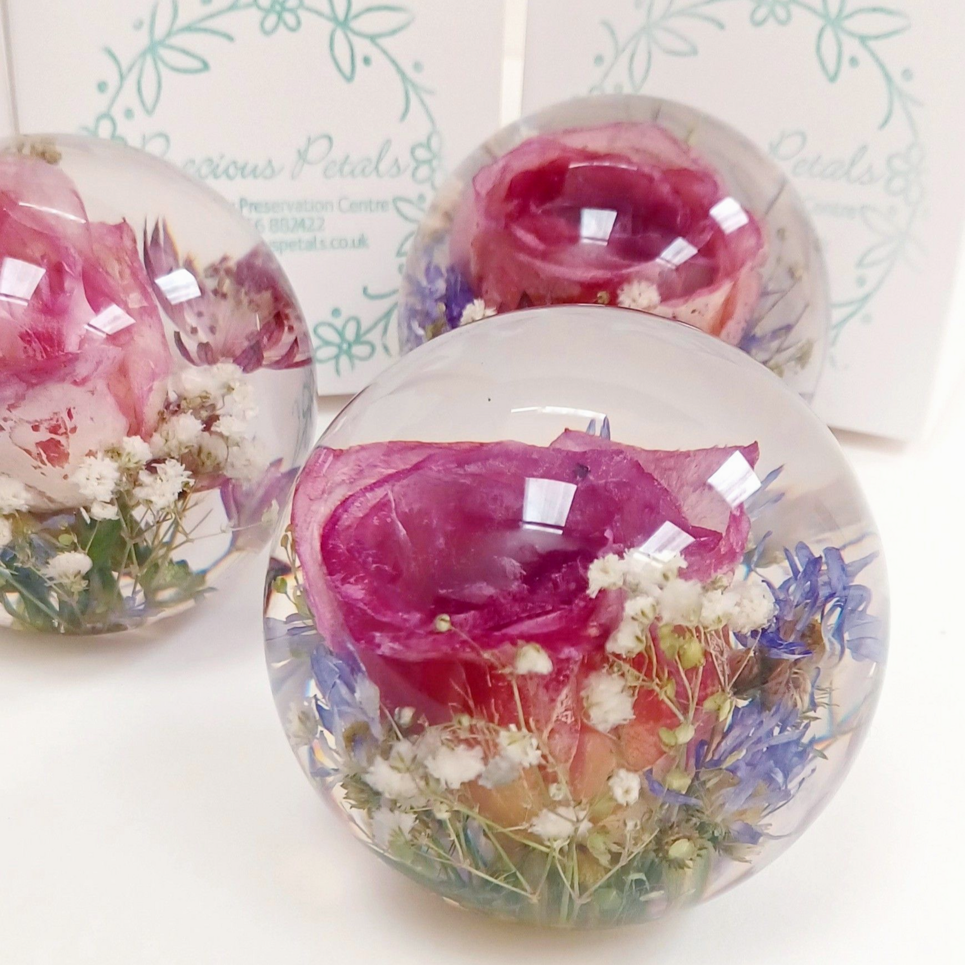 flowers forever
