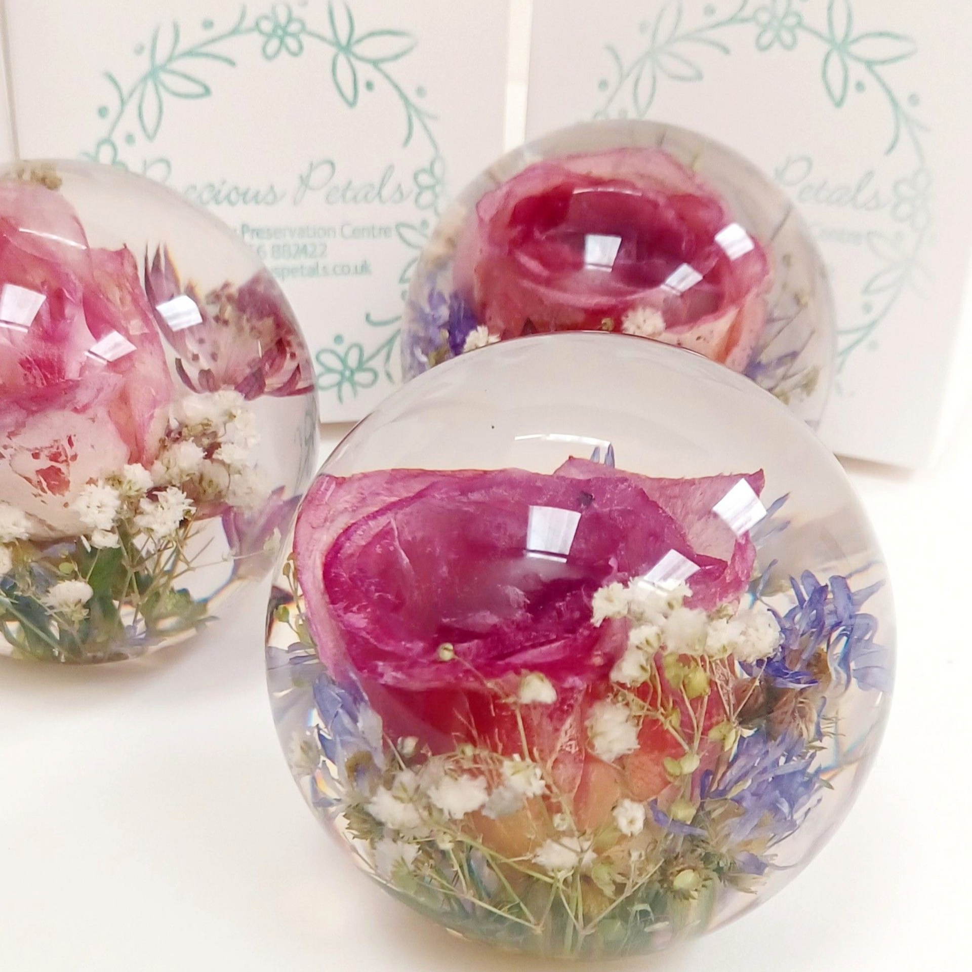 Flowers in paperweights