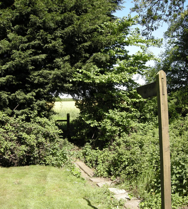 Flower Preservation Studio Bramley