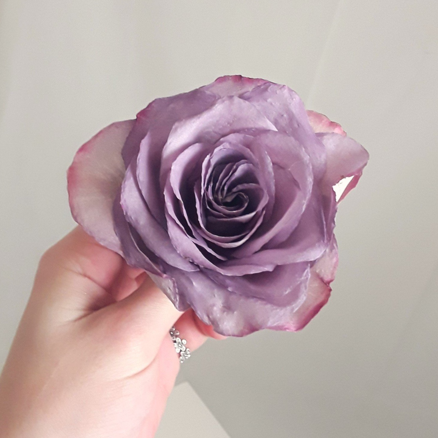 Preserved roses