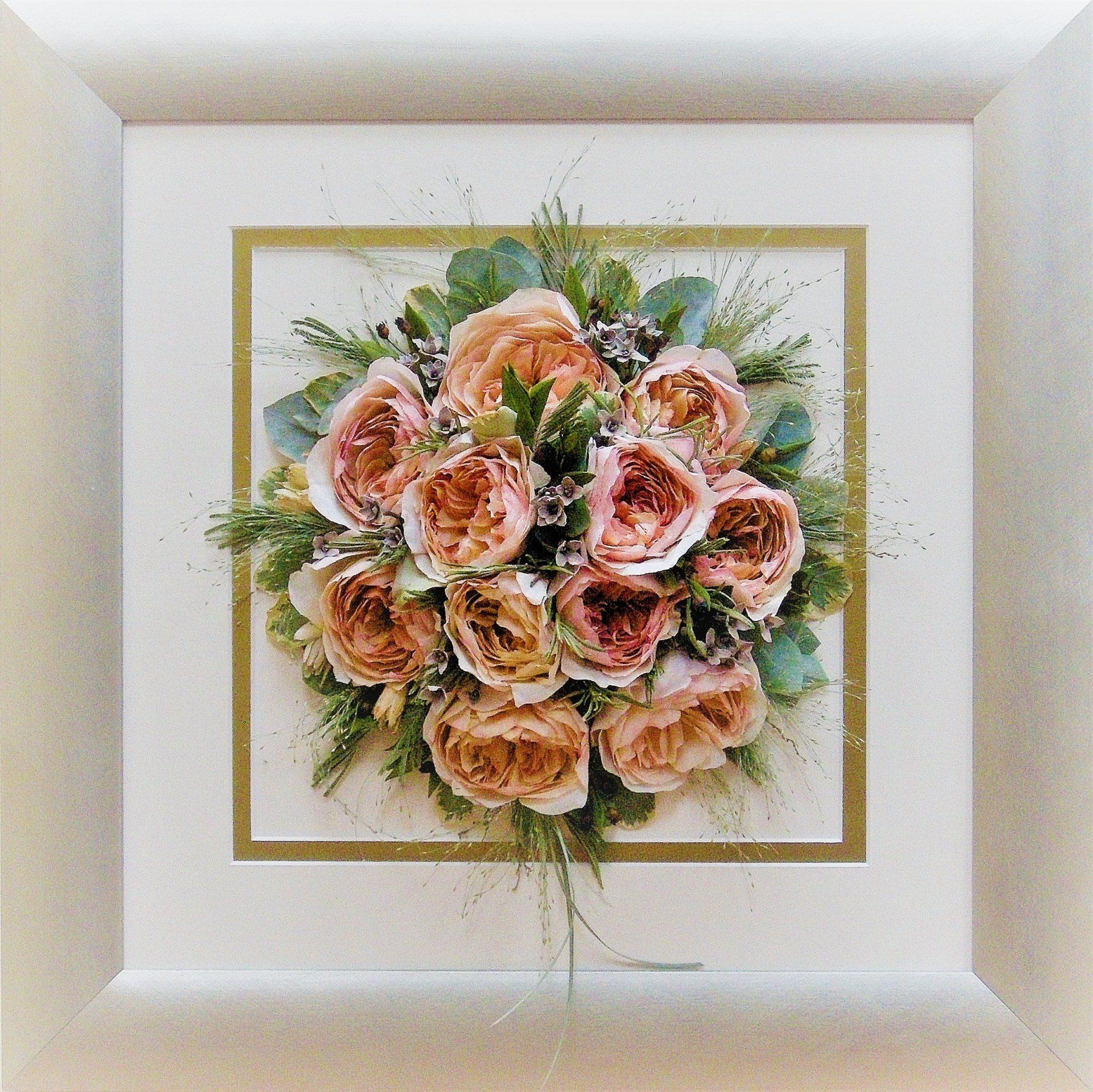 David Austin Patience roses preserved and framed.