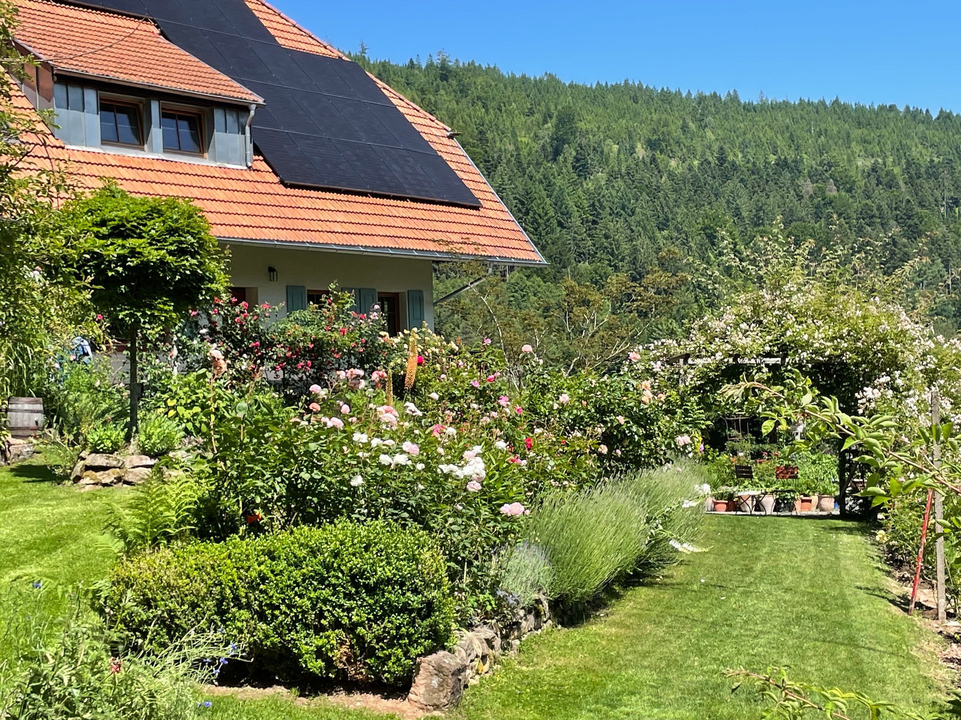 Gartenführung