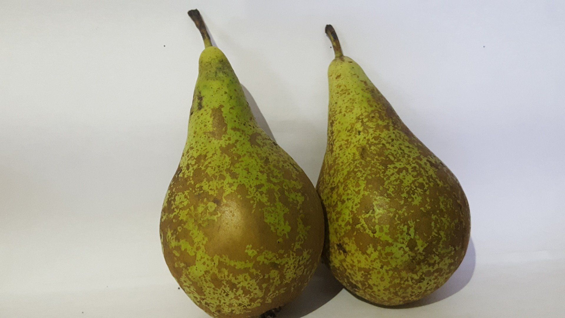 Les delicieuses, juteuses et sucrées POIRES CONFERENCE sont toujours disponibles
