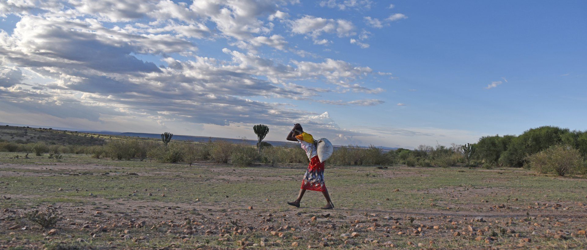 Travel Doesn't Have to Be A Struggle