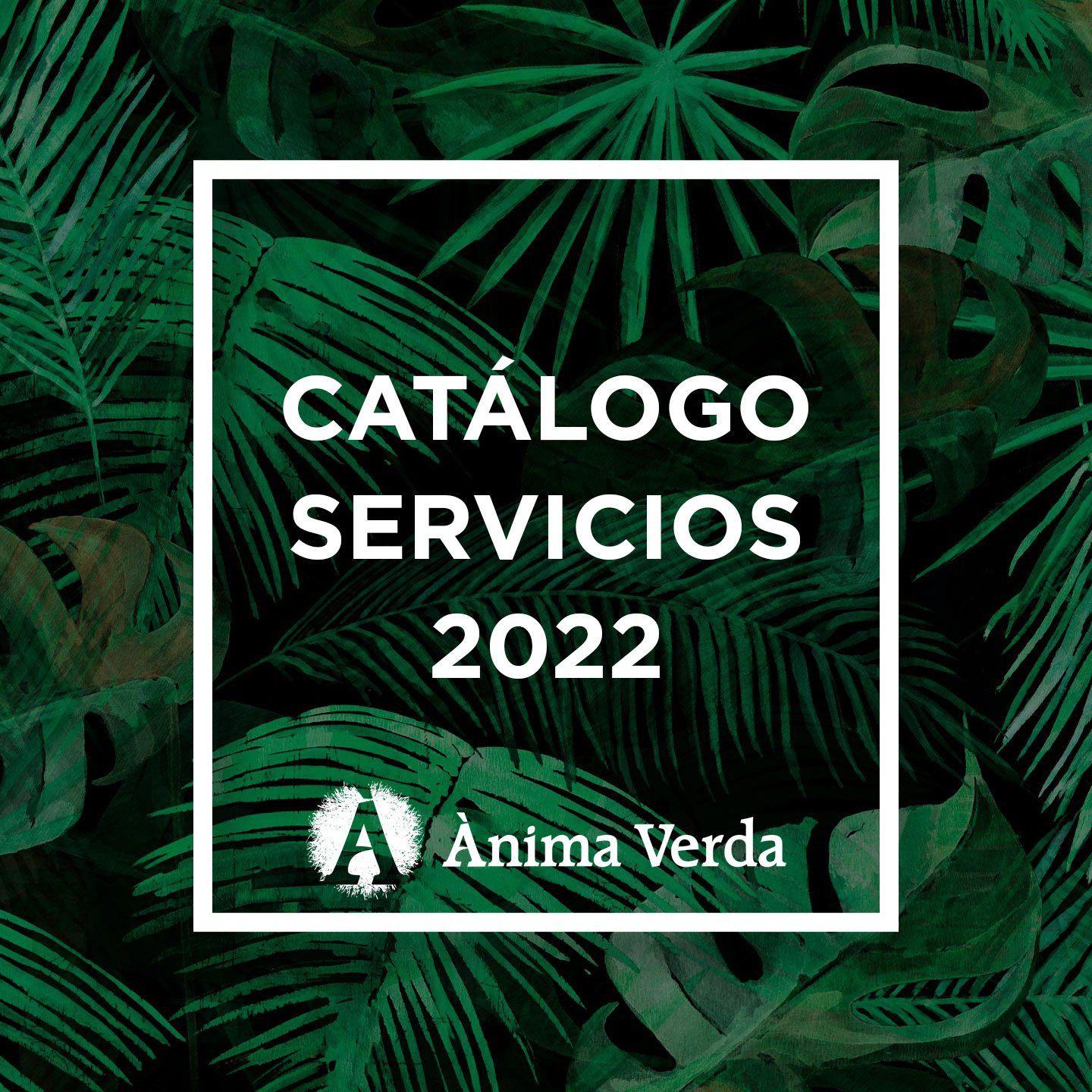 catálogo servicios 2022