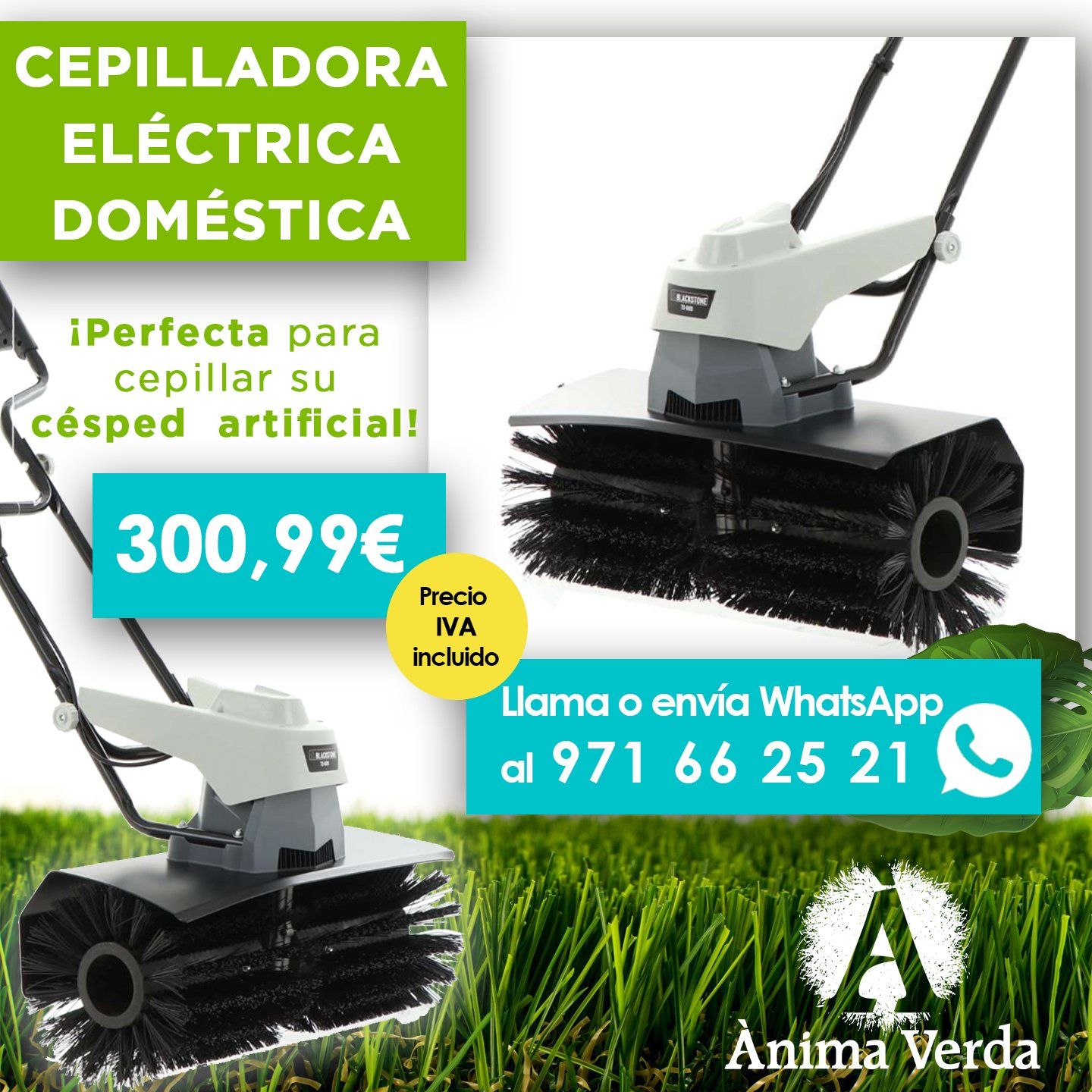 Cepilladora eléctrica Blackstone TS-600 Cepilladora eléctrica Blackstone TS-600