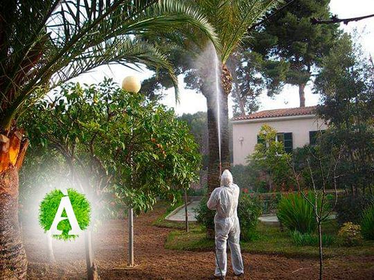 Servicios de control de plagas Ànima Verda Servicios de control de plagas Ànima Verda
