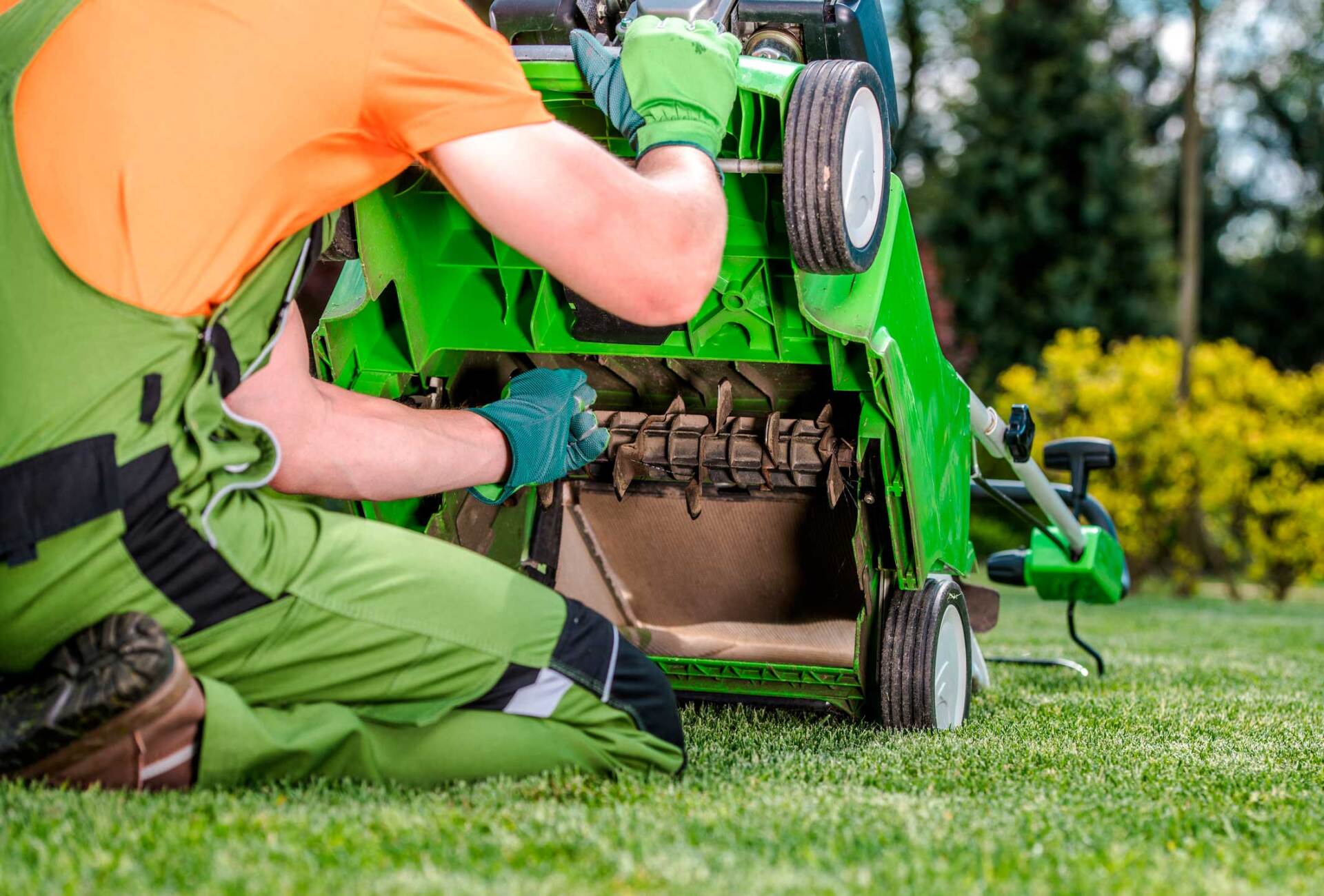 escarificar y recebar césped o grama