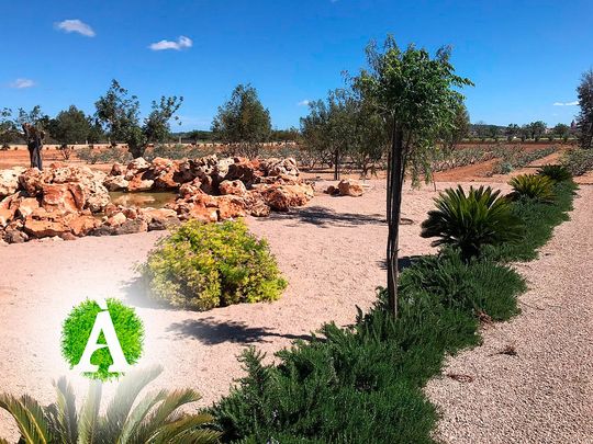 Servicios de jardinería Ànima Verda Servicios de jardinería Ànima Verda