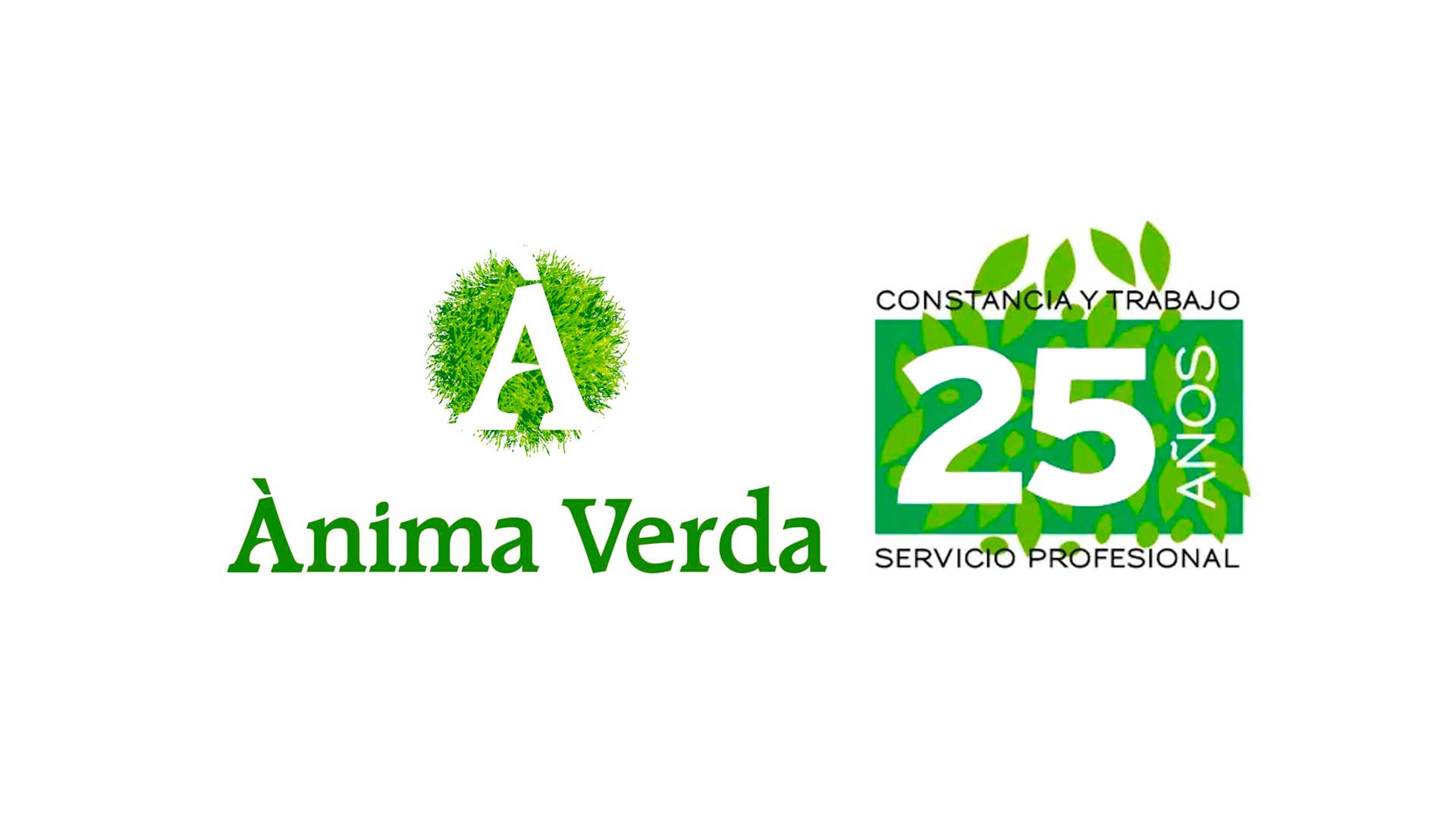anima verda