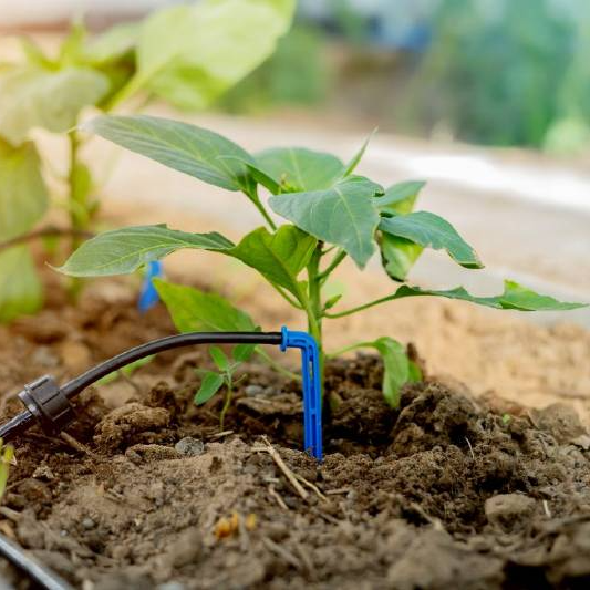 montaje de riego automático para jardín