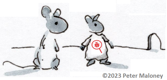 Pest Control