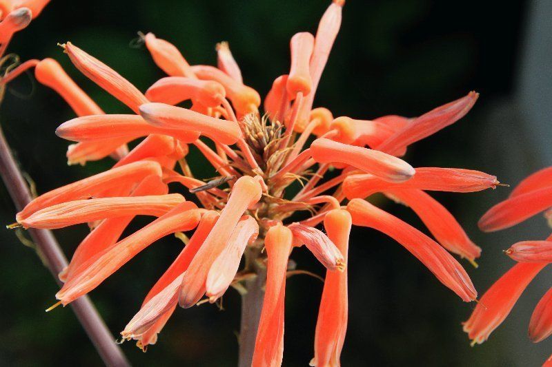 Aphorismen und Bilder