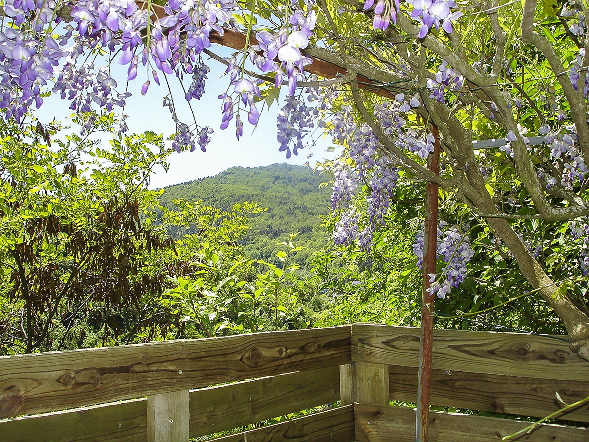 Vue panoramique de l'Auvergne depuis la terrasse