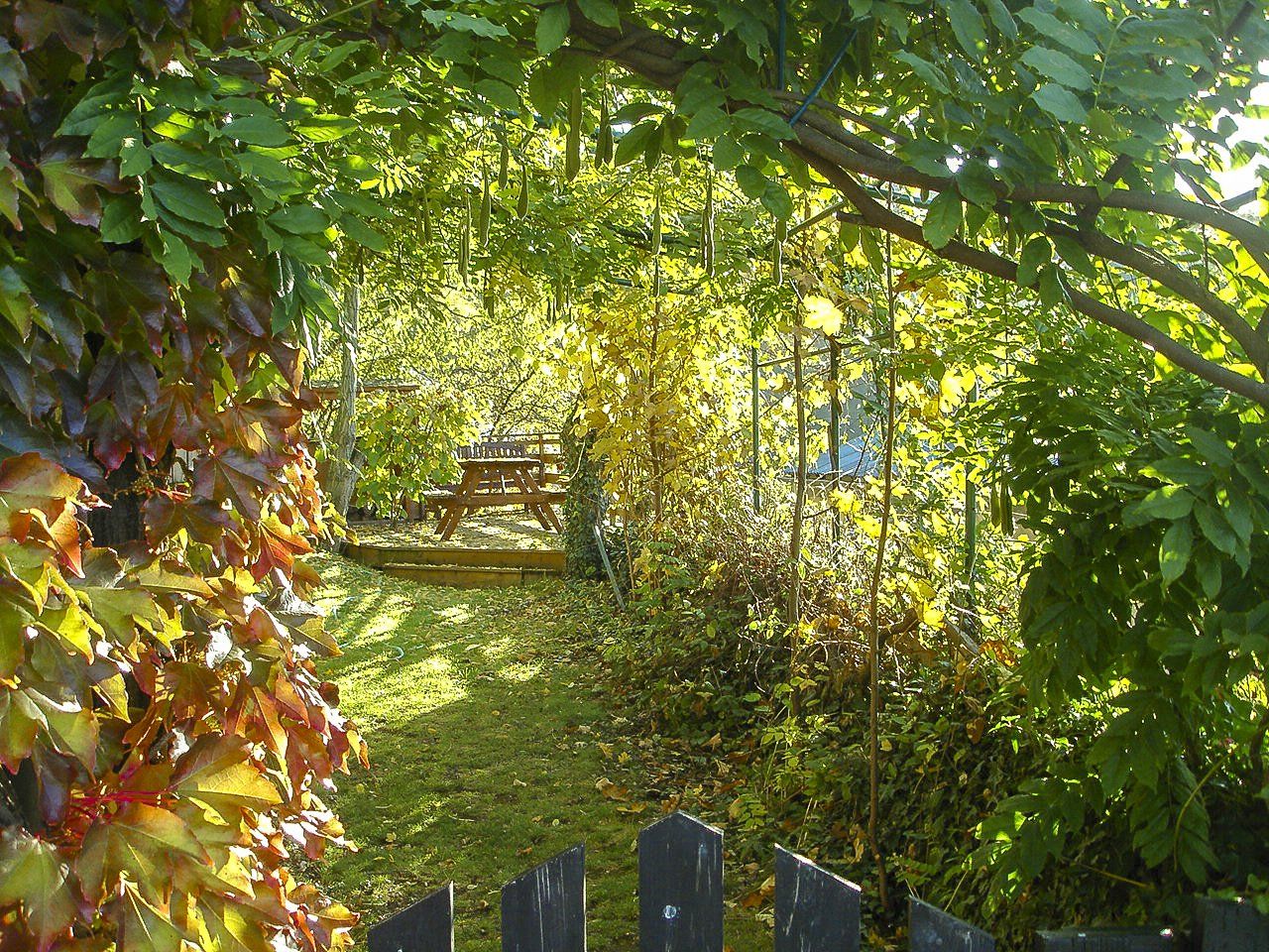 Pergola végétalisée et ombragée