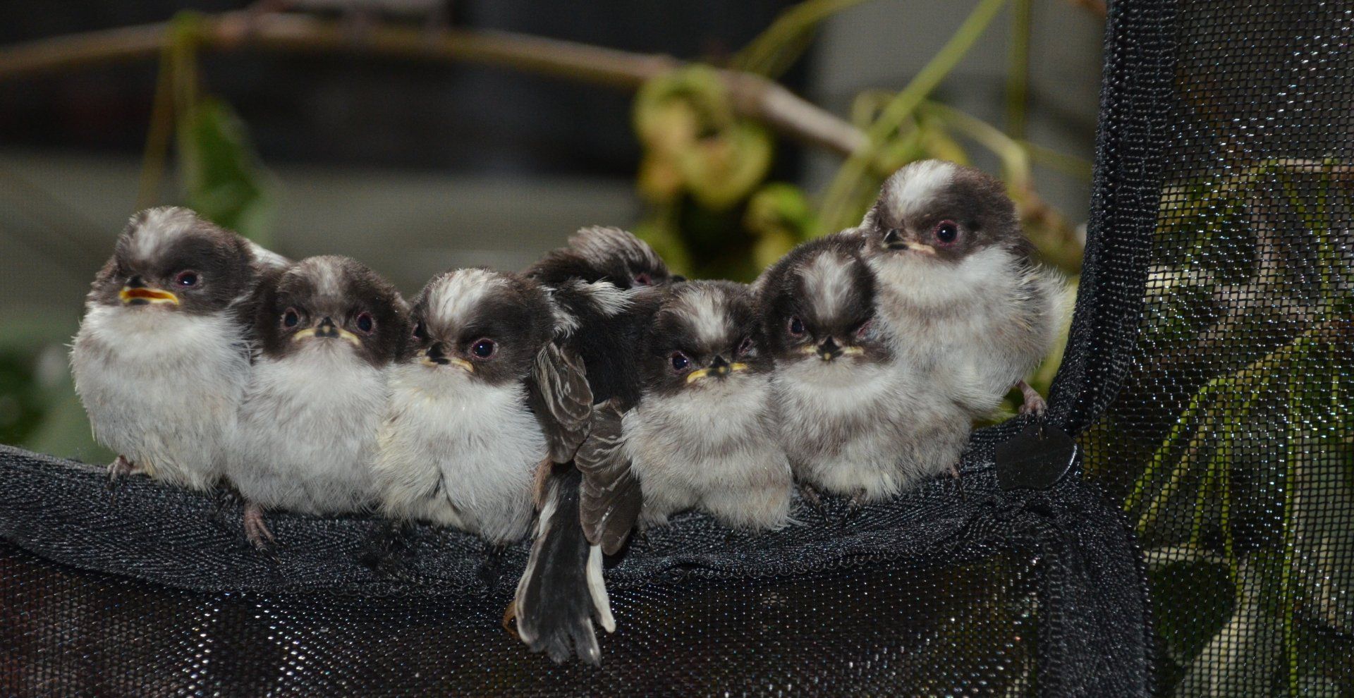 Mitgliedschaft & Spenden