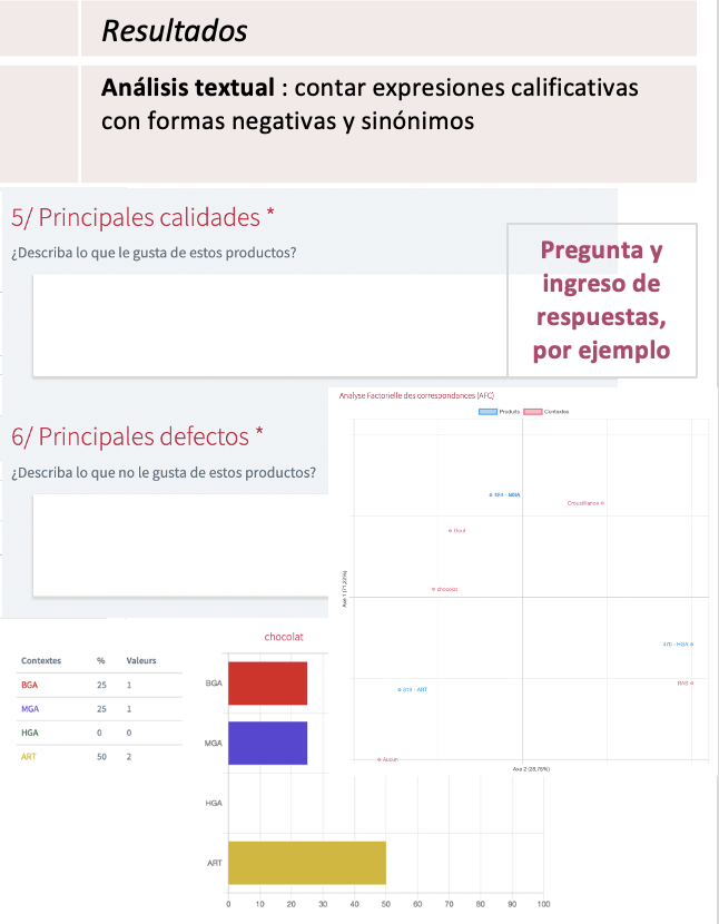 N°5 : Le profil Pivot©.