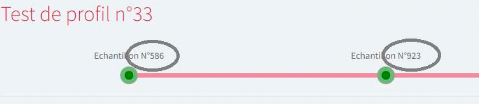 N°2-3 : Gestion du test par l'animateur.
