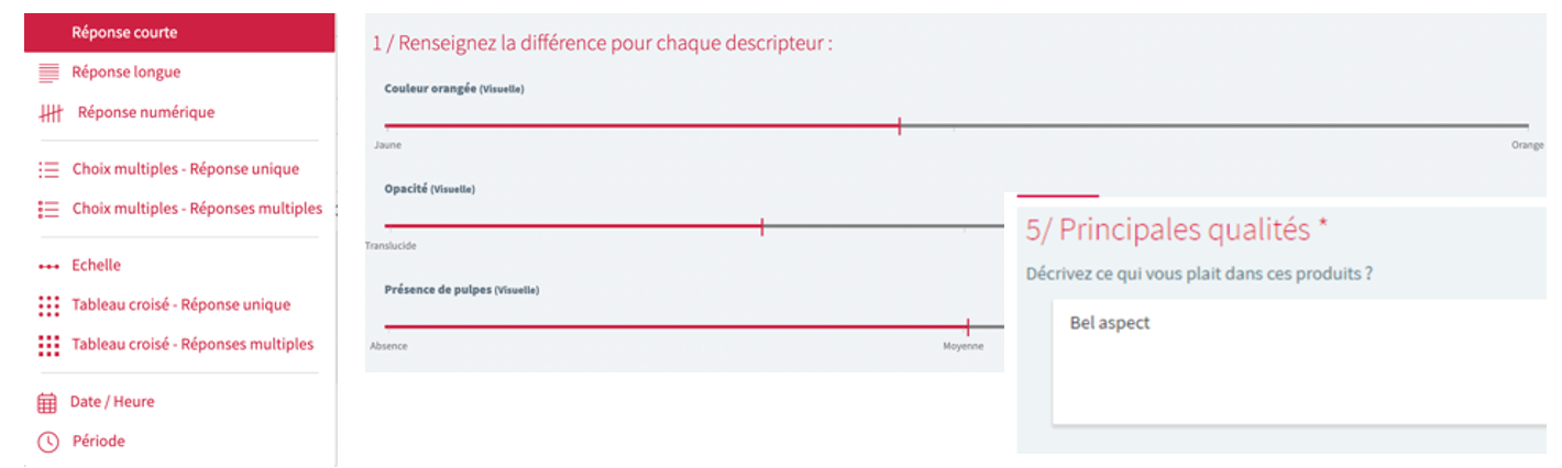 N°10 : Le profil Expert