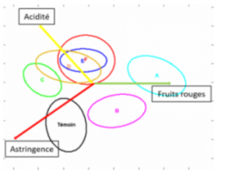 N°2 : Le profil Qualitatif.