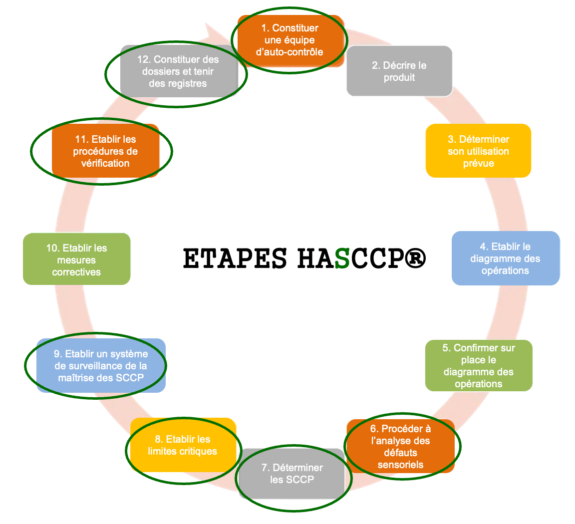 Profil Quali® : résultats avec une liste décroissante des descripteurs principaux (fréquences en %) Profil Quali® : résultats avec une liste décroissante des descripteurs principaux (fréquences en %)