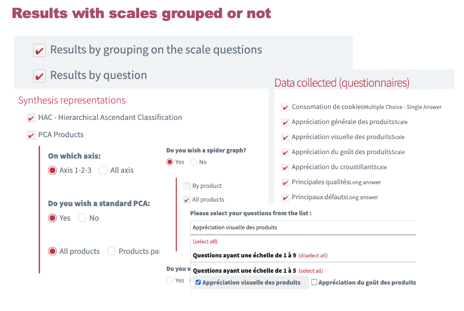 N°5 : Le profil Pivot©.
