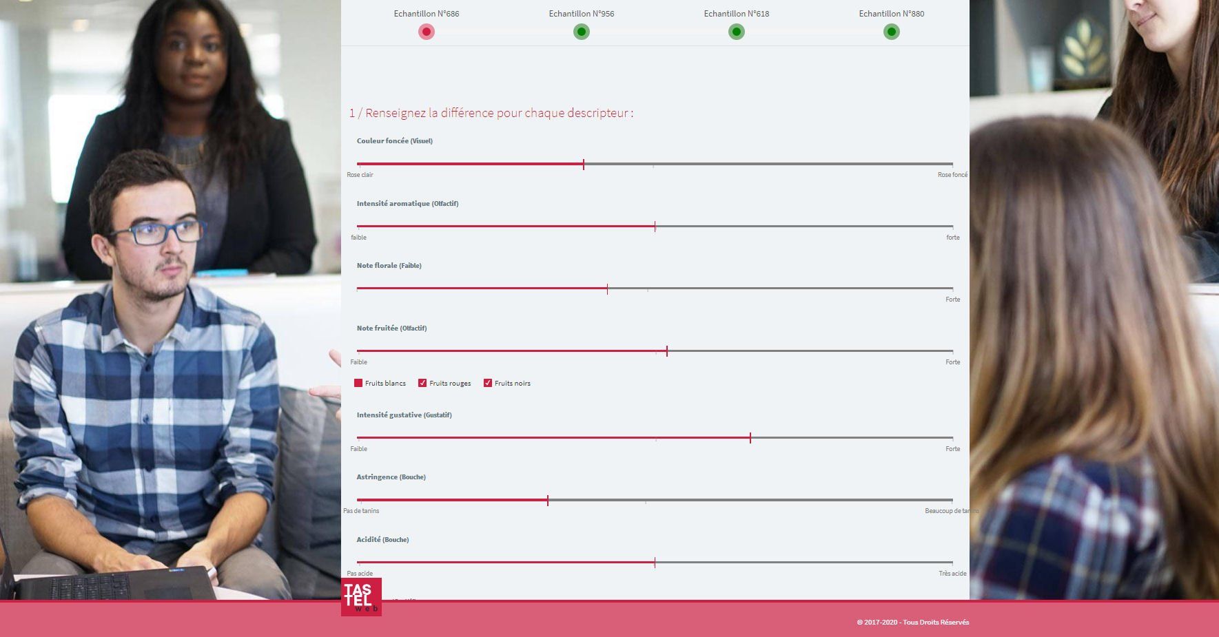 Tastelweb saisie tests,Tastelweb input tests, Analyse sensorielle logiciel, sensory analysis software