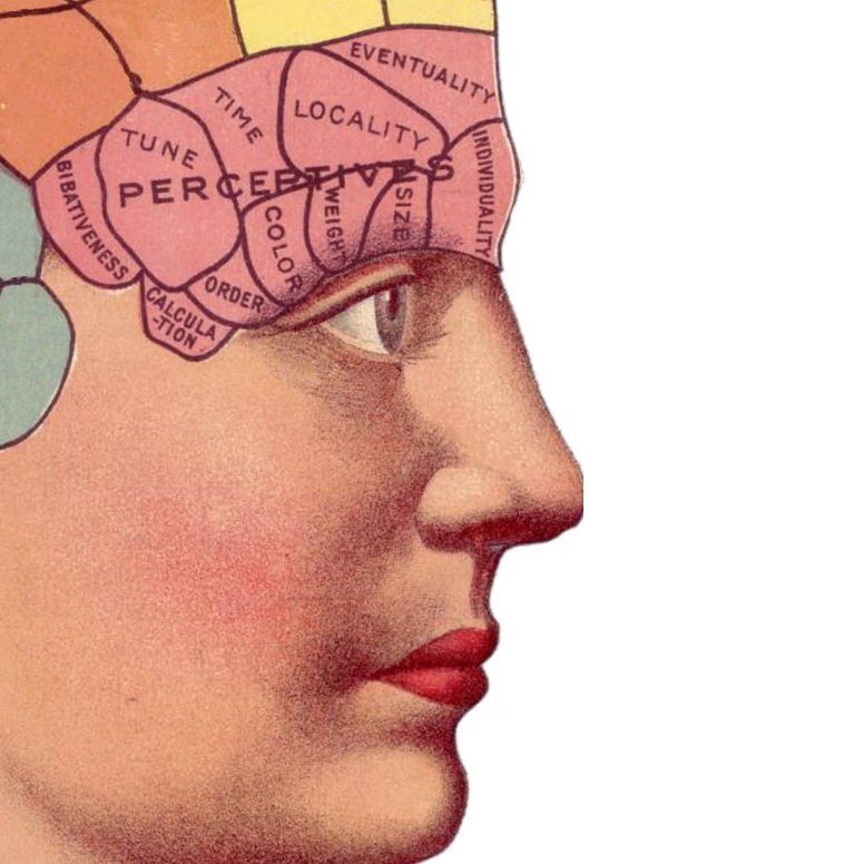 Attributs sensoriels, Analyse sensorielle, sensory analysis, Tests consommateurs, Tastelweb, ABT Informatique, sensory analysis software