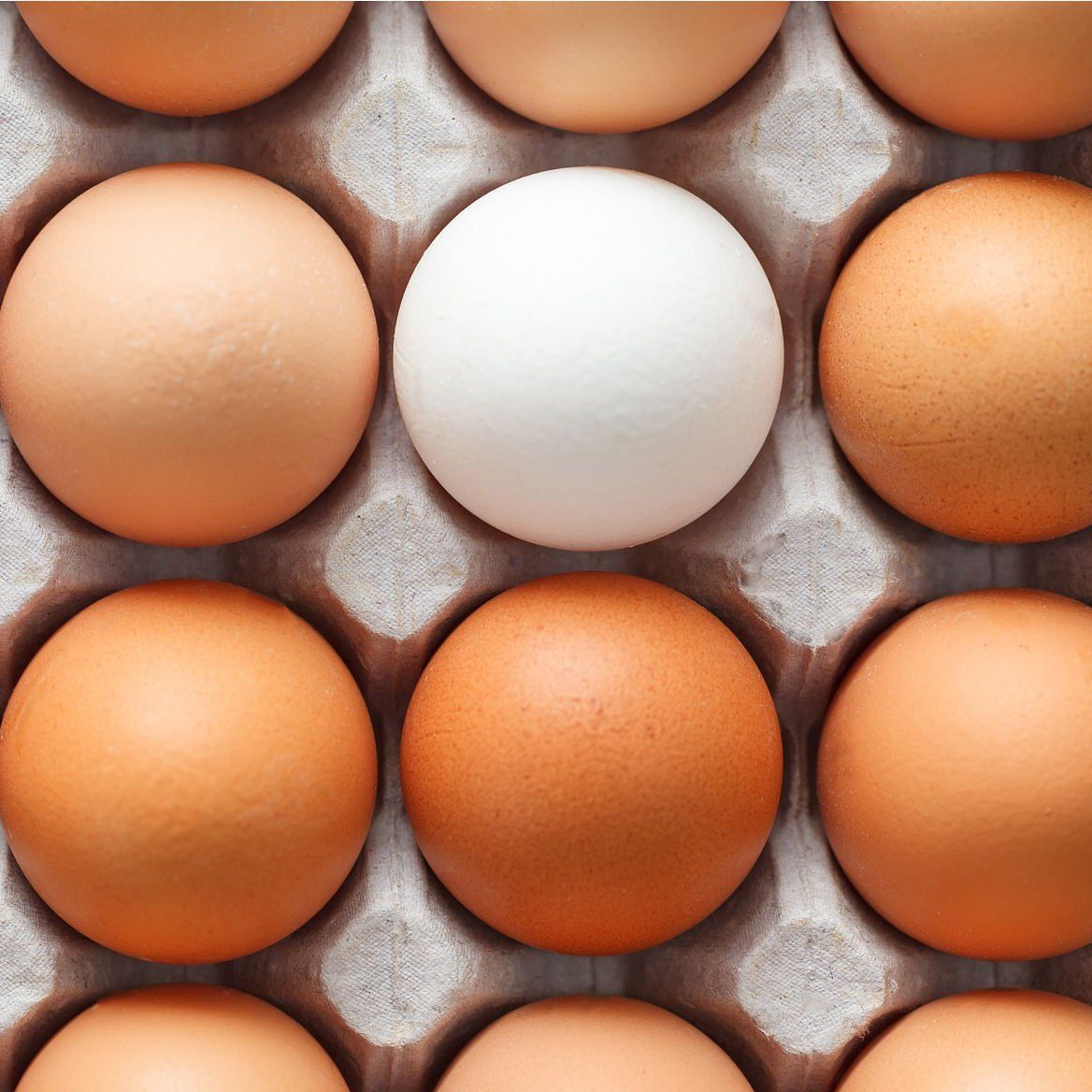 Discrimination produits, Analyse sensorielle, sensory analysis, Tests consommateurs, Tastelweb, ABT Informatique, sensory analysis software